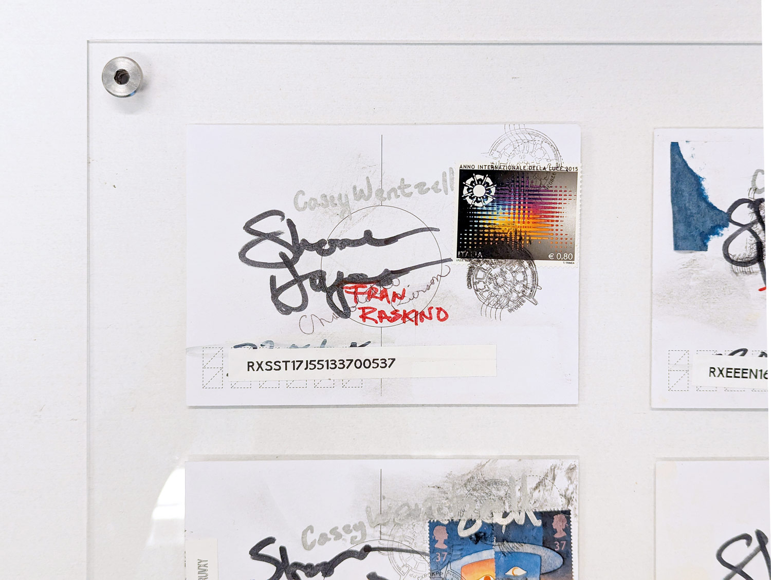 The Firewall Grove, Insurance Policy The Firewall Grove, insurance policy, detail, 2018